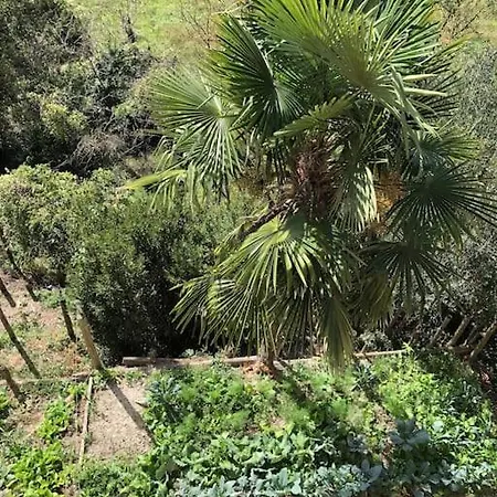 Ca' Cuore In Monferrato *